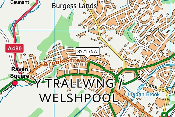 SY21 7NW map - OS VectorMap District (Ordnance Survey)