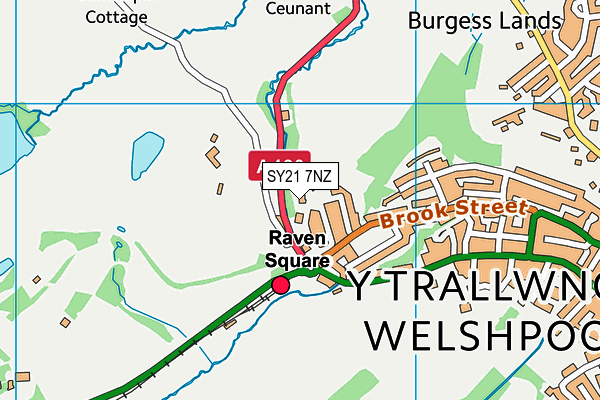 SY21 7NZ map - OS VectorMap District (Ordnance Survey)