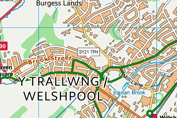 SY21 7PH map - OS VectorMap District (Ordnance Survey)