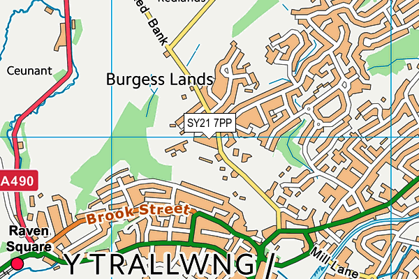 SY21 7PP map - OS VectorMap District (Ordnance Survey)