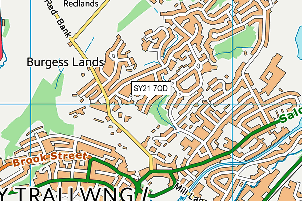 SY21 7QD map - OS VectorMap District (Ordnance Survey)