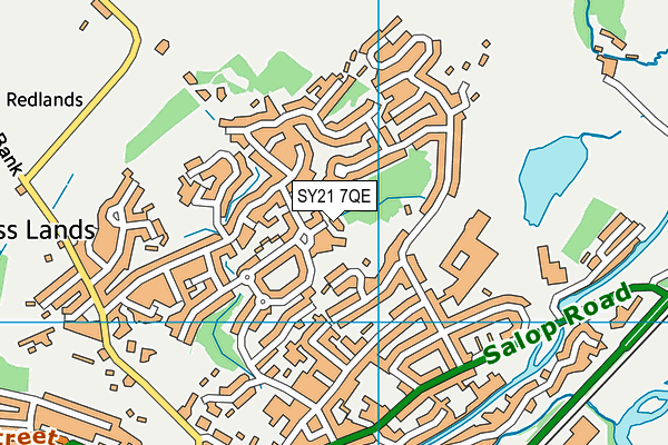 SY21 7QE map - OS VectorMap District (Ordnance Survey)
