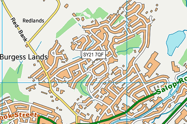 SY21 7QF map - OS VectorMap District (Ordnance Survey)