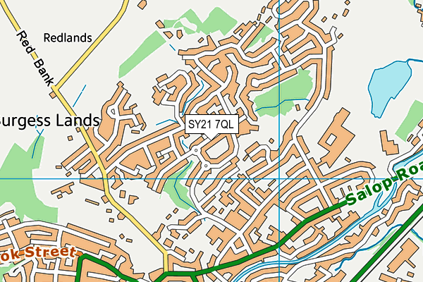 SY21 7QL map - OS VectorMap District (Ordnance Survey)