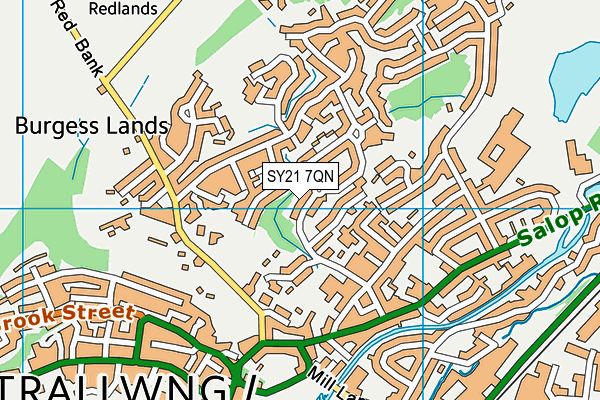 SY21 7QN map - OS VectorMap District (Ordnance Survey)