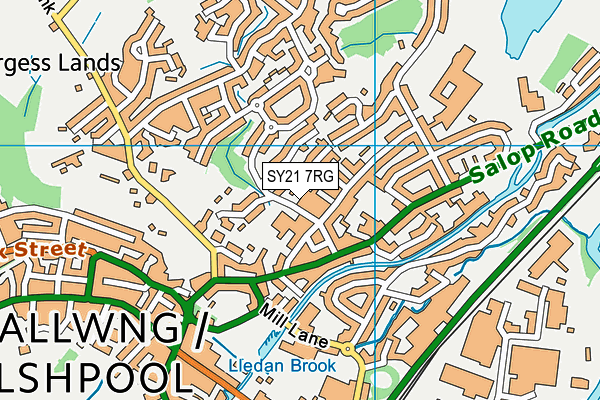 SY21 7RG map - OS VectorMap District (Ordnance Survey)