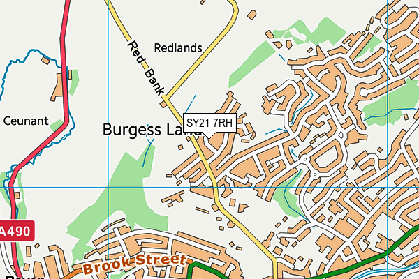 SY21 7RH map - OS VectorMap District (Ordnance Survey)