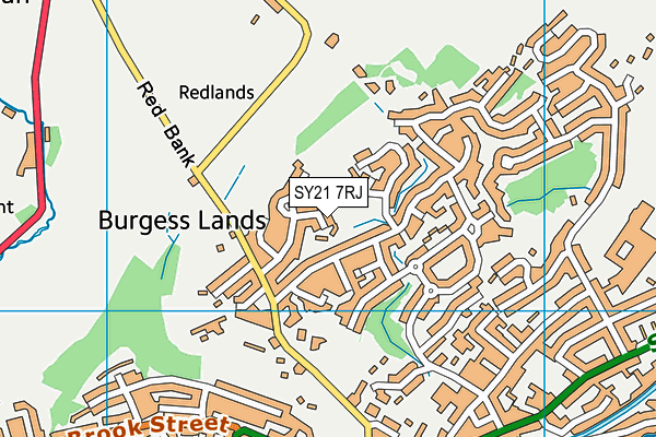 SY21 7RJ map - OS VectorMap District (Ordnance Survey)