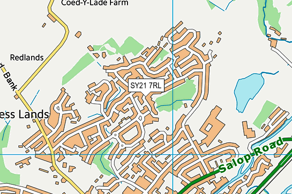 SY21 7RL map - OS VectorMap District (Ordnance Survey)