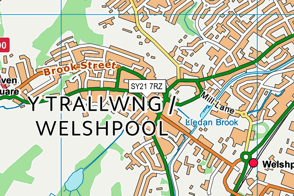 SY21 7RZ map - OS VectorMap District (Ordnance Survey)