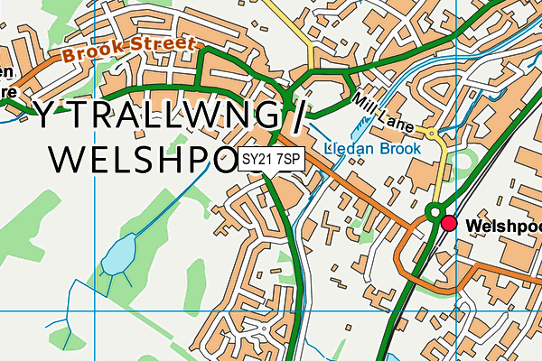 SY21 7SP map - OS VectorMap District (Ordnance Survey)