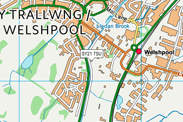 Welshpool Church in Wales Primary School map (SY21 7SU) - OS VectorMap District (Ordnance Survey)