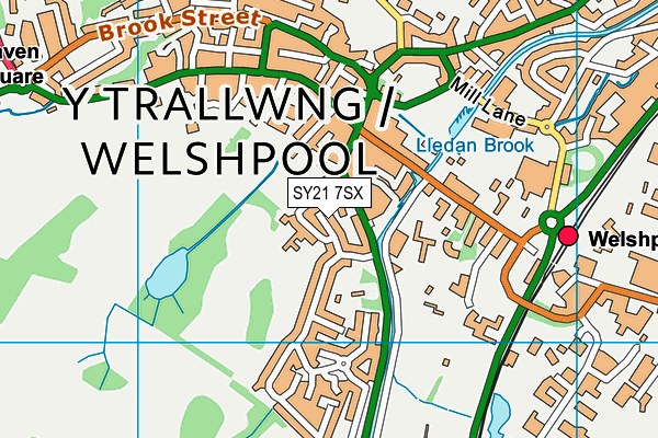 SY21 7SX map - OS VectorMap District (Ordnance Survey)