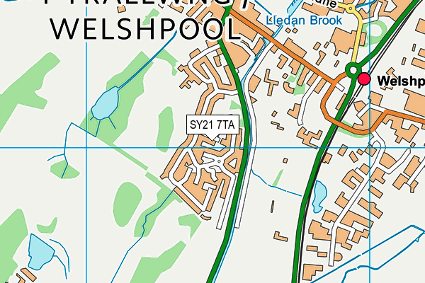 SY21 7TA map - OS VectorMap District (Ordnance Survey)