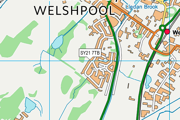 SY21 7TB map - OS VectorMap District (Ordnance Survey)