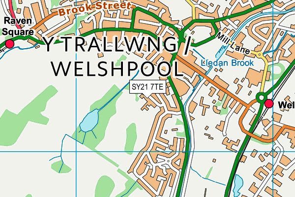 SY21 7TE map - OS VectorMap District (Ordnance Survey)