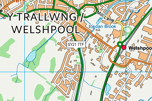 SY21 7TF map - OS VectorMap District (Ordnance Survey)