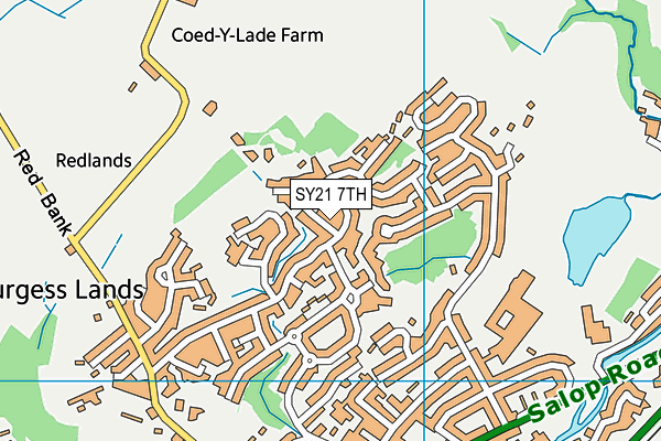 SY21 7TH map - OS VectorMap District (Ordnance Survey)