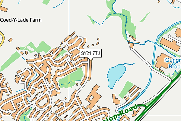 SY21 7TJ map - OS VectorMap District (Ordnance Survey)