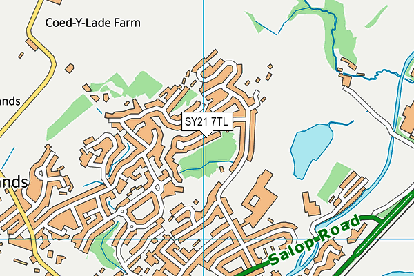 SY21 7TL map - OS VectorMap District (Ordnance Survey)