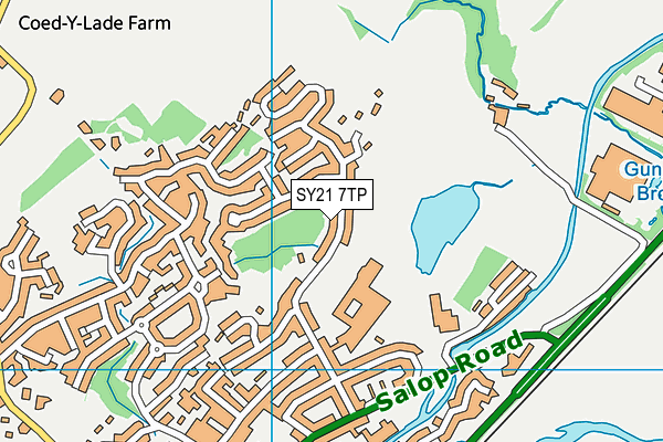 SY21 7TP map - OS VectorMap District (Ordnance Survey)