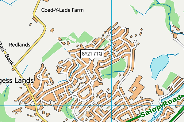 SY21 7TQ map - OS VectorMap District (Ordnance Survey)