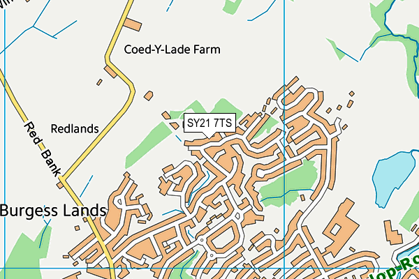 SY21 7TS map - OS VectorMap District (Ordnance Survey)