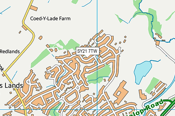 SY21 7TW map - OS VectorMap District (Ordnance Survey)