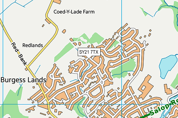 SY21 7TX map - OS VectorMap District (Ordnance Survey)