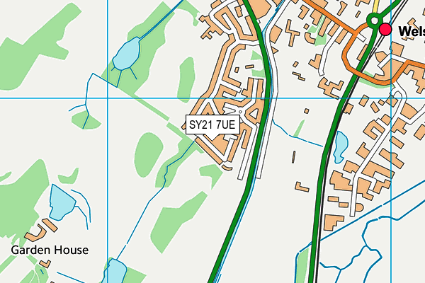 SY21 7UE map - OS VectorMap District (Ordnance Survey)