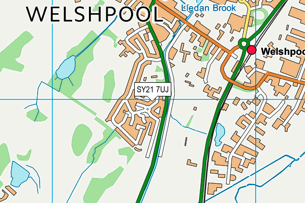 SY21 7UJ map - OS VectorMap District (Ordnance Survey)