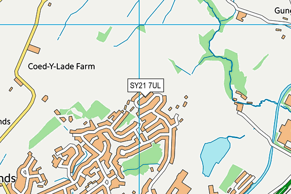 SY21 7UL map - OS VectorMap District (Ordnance Survey)