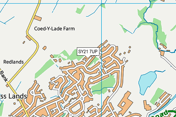 SY21 7UP map - OS VectorMap District (Ordnance Survey)