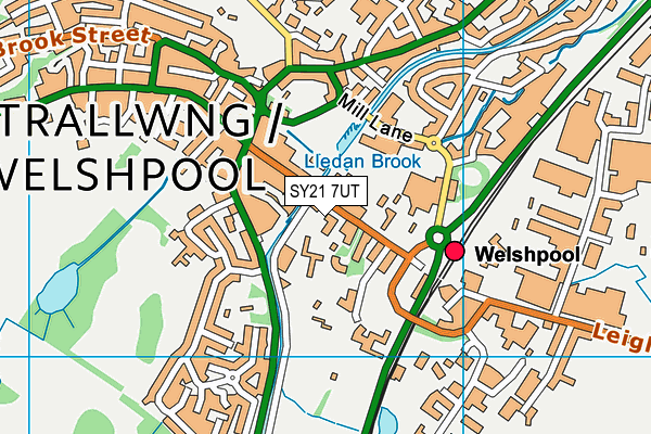 SY21 7UT map - OS VectorMap District (Ordnance Survey)