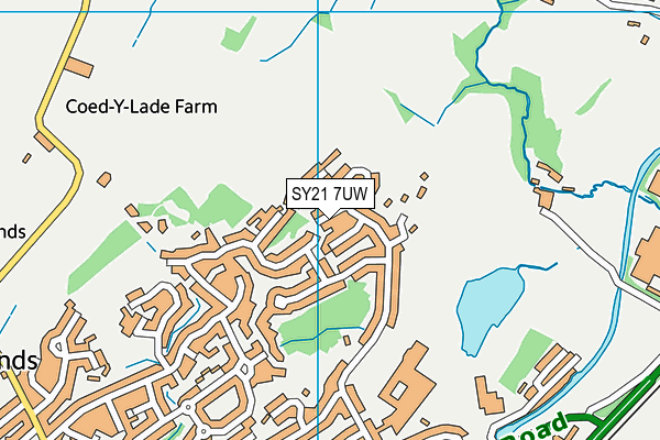 SY21 7UW map - OS VectorMap District (Ordnance Survey)