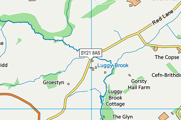 SY21 8AS map - OS VectorMap District (Ordnance Survey)