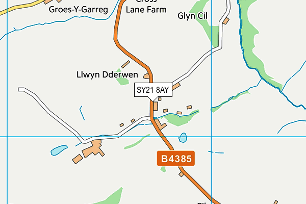 SY21 8AY map - OS VectorMap District (Ordnance Survey)