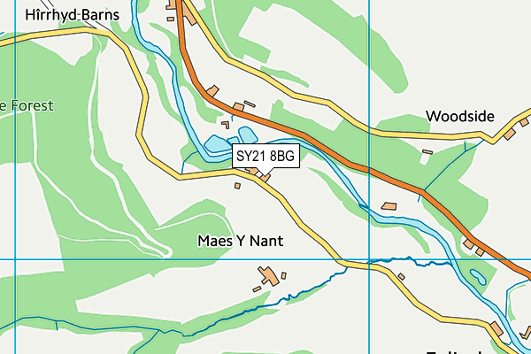 SY21 8BG map - OS VectorMap District (Ordnance Survey)