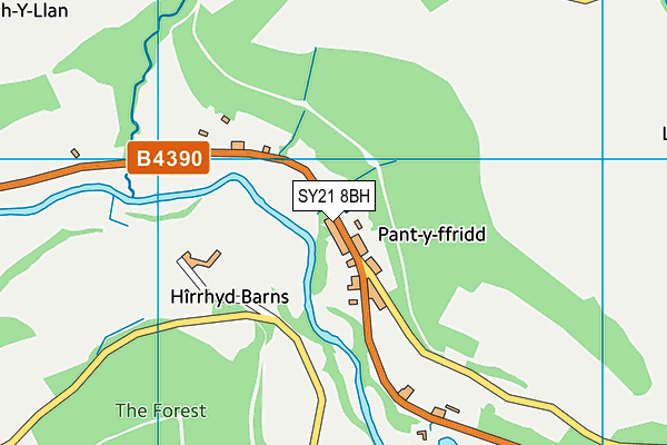 SY21 8BH map - OS VectorMap District (Ordnance Survey)