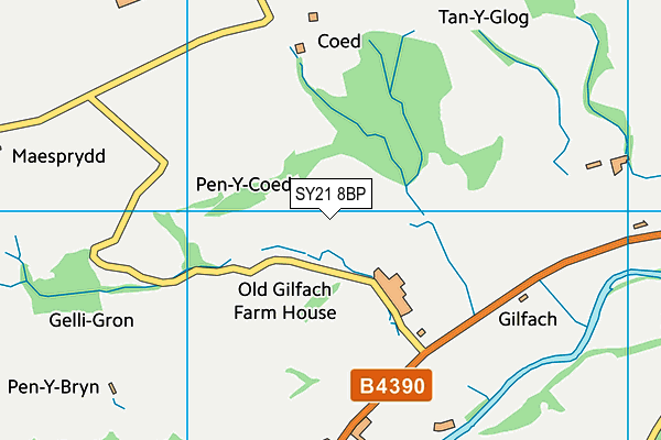 SY21 8BP map - OS VectorMap District (Ordnance Survey)