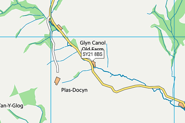 SY21 8BS map - OS VectorMap District (Ordnance Survey)