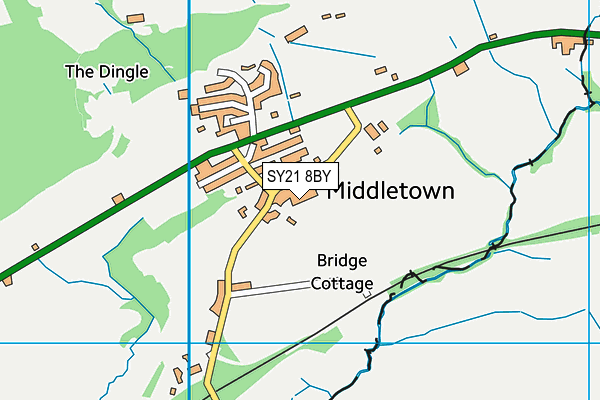 SY21 8BY map - OS VectorMap District (Ordnance Survey)