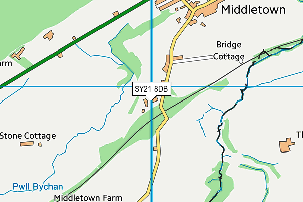 SY21 8DB map - OS VectorMap District (Ordnance Survey)