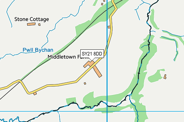 SY21 8DD map - OS VectorMap District (Ordnance Survey)