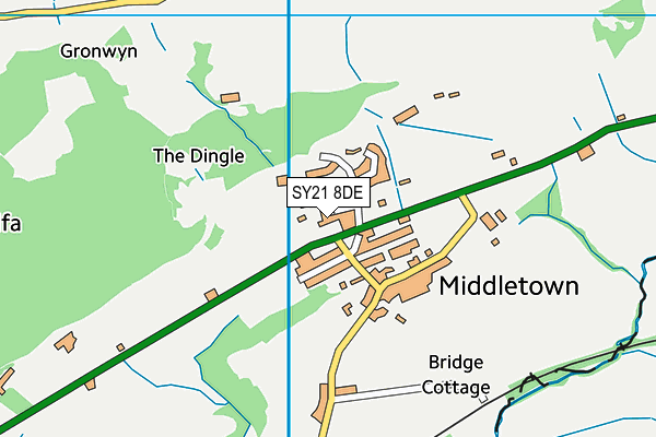 SY21 8DE map - OS VectorMap District (Ordnance Survey)