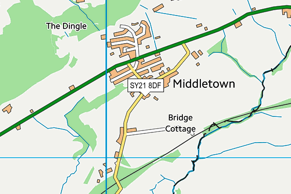 SY21 8DF map - OS VectorMap District (Ordnance Survey)