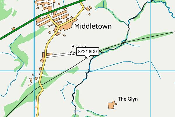 SY21 8DG map - OS VectorMap District (Ordnance Survey)