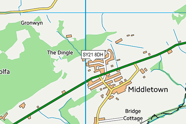 SY21 8DH map - OS VectorMap District (Ordnance Survey)