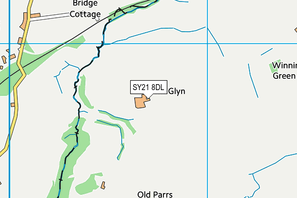 SY21 8DL map - OS VectorMap District (Ordnance Survey)