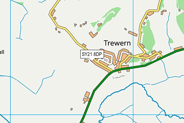 SY21 8DP map - OS VectorMap District (Ordnance Survey)